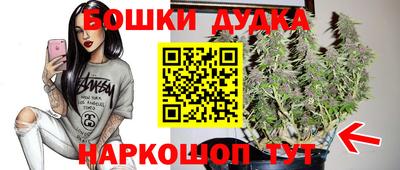 стаф Севастополь