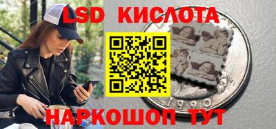 крисы Северобайкальск