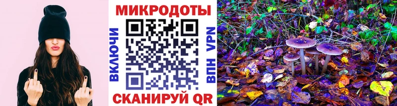 Псилоцибиновые грибы Cubensis купить kraken как зайти Белогорск