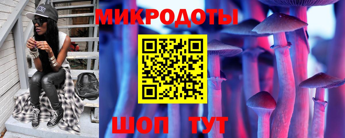 Псилоцибиновые грибы мицелий Белогорск