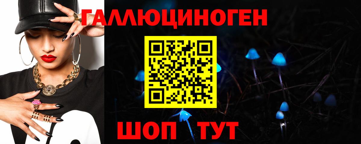 Белогорск  Галлюциногенные грибы Cubensis  Вход с VPN 